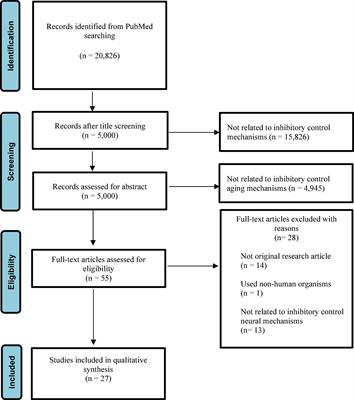 Inhibitory Control Development: A Network Neuroscience Perspective